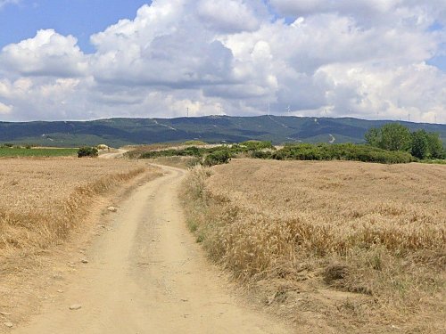 Kuş Tepe, autor: Google