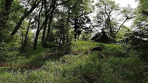 Kohlriegel - SZ vrchol I