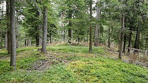 U Líbala - V vrchol