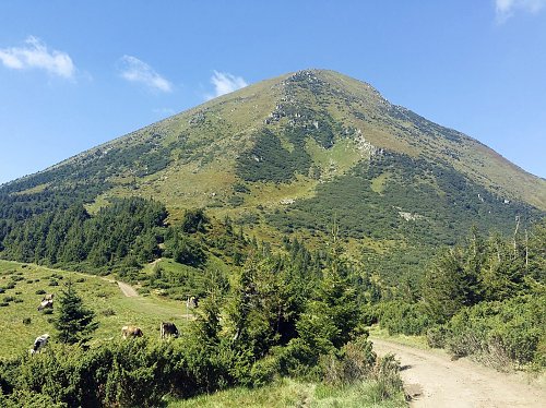 Petros