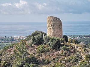 Torre del Cucurull