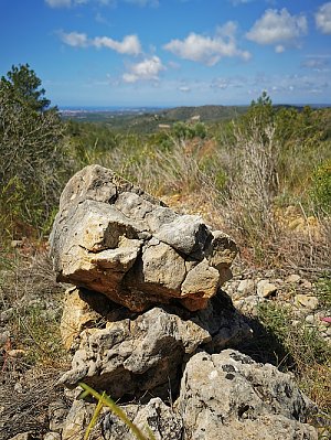 Colina de la Magí