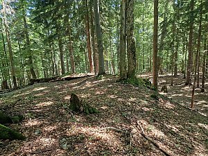 Prostredný grúň Z