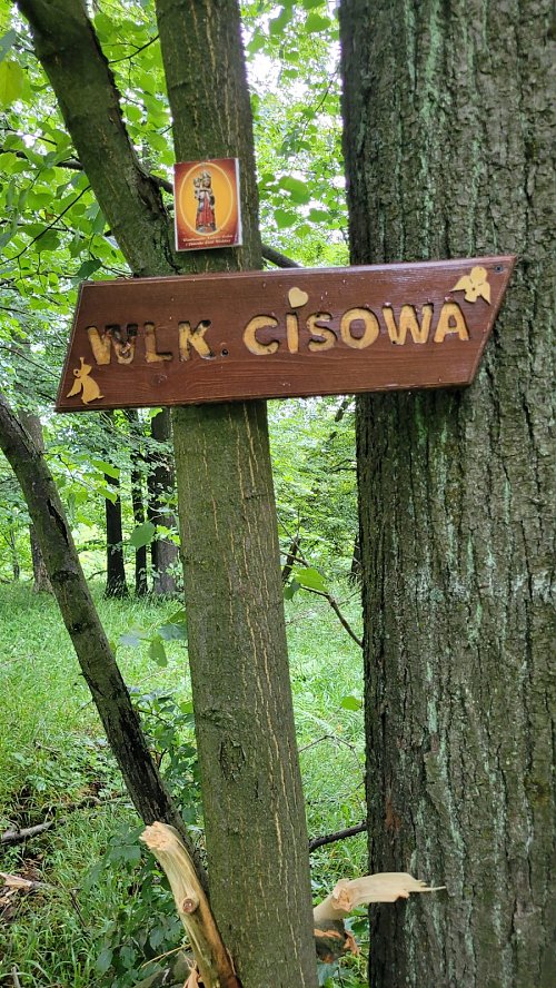 Wielka Cisowa Góra