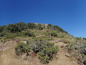 Cerro Pena Alta Poco