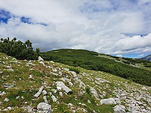 Weißkogel