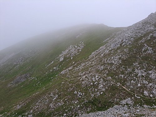 Siebenbrunner Kogel