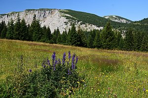 Hohe Lechnerin