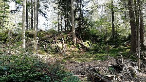 Eibenberg