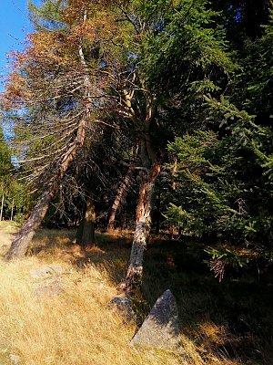 Malohájský vrch