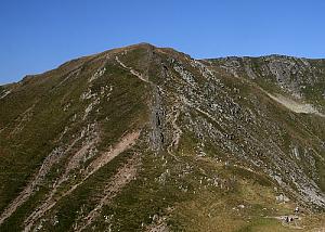 Slănina