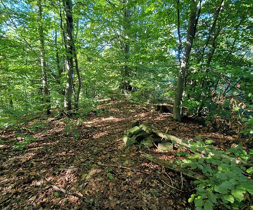 Brýzgalky (Priskalky), autor: Rastislav Biarinec