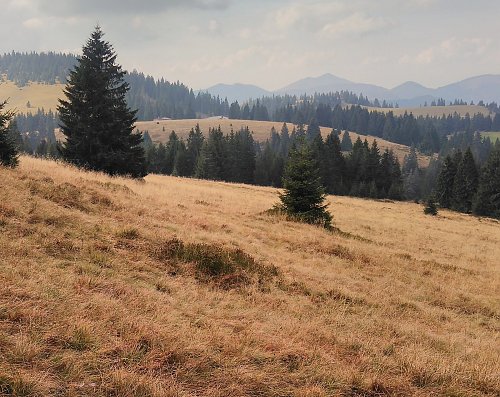 Smrekovica - Močidlo, autor: Rastislav Biarinec