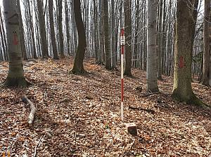 Kožná J2