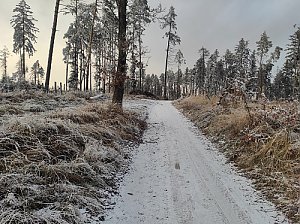 Příkrá