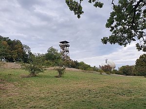 Königswarte
