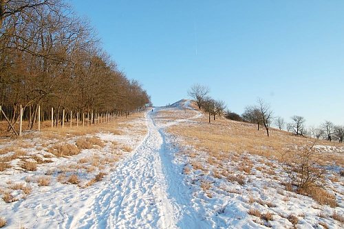 Oškobrh