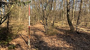 Alma's Hill