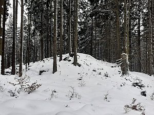 Zátoňská hora SV