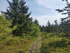 On the Plateaus