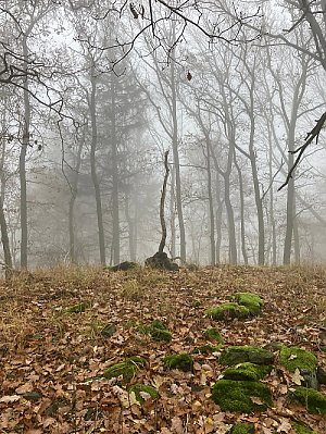 Kotolský vrch