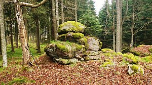 Uhlíkovský kopec