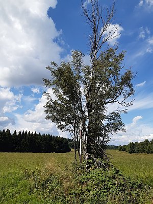 Přední hraniční vrch