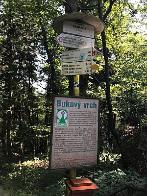 Bukový vrch