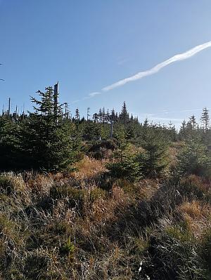 Schönbergfelsen