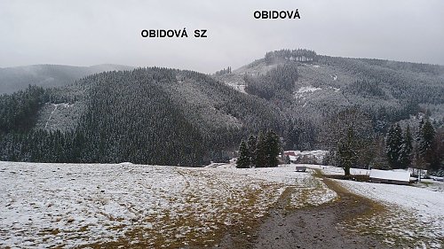 Obidová