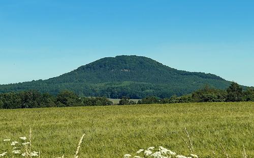 Šedina