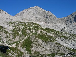 Birnhorn