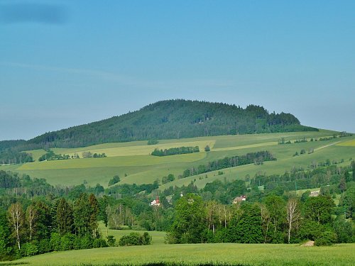 Studený