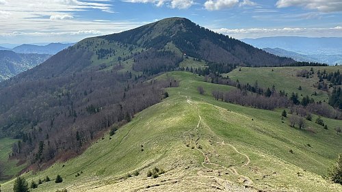 Borišov, autor: Alexandr Starý