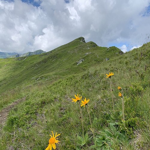 Spieleckkogel