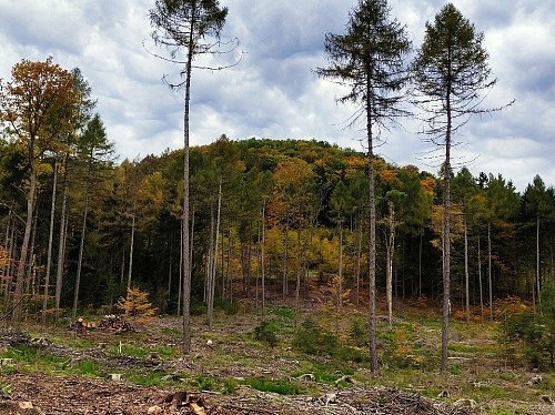 Rousínovský vrch