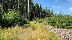 Goat Ridges SW
