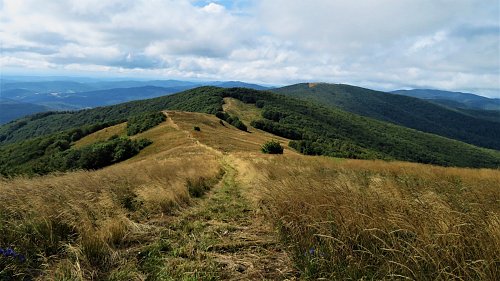 Pľaša