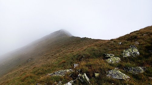 Vârful Tărâța