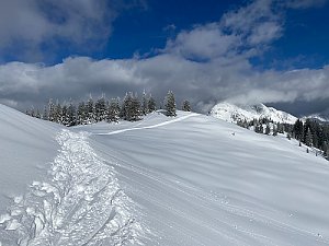 Bernkogel