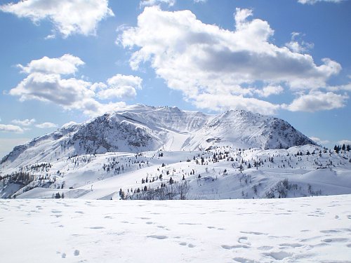 Monte Tamai, autor: Pierinut, Wikimedia Commons