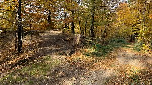 Vlčina SV