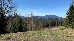 Smrkovina Z