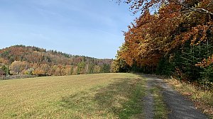 On the Hill S