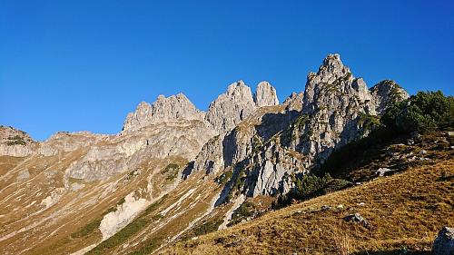 Grosse Bischofsmütze