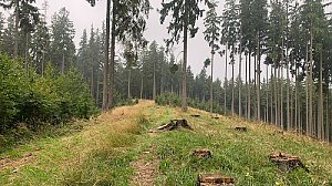 Kavalčanky J