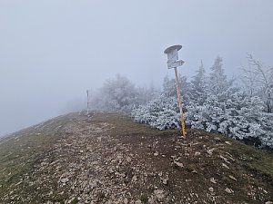 Reváň