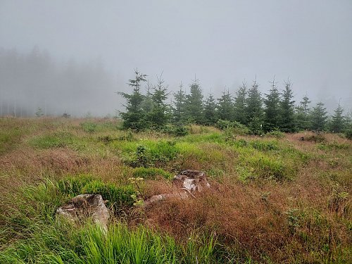 Studený vrch, autor: Kazdacharek, Mapy.cz