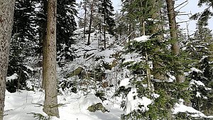 Rohanovský vrch V
