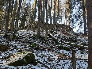 Kapradinec - S vrchol